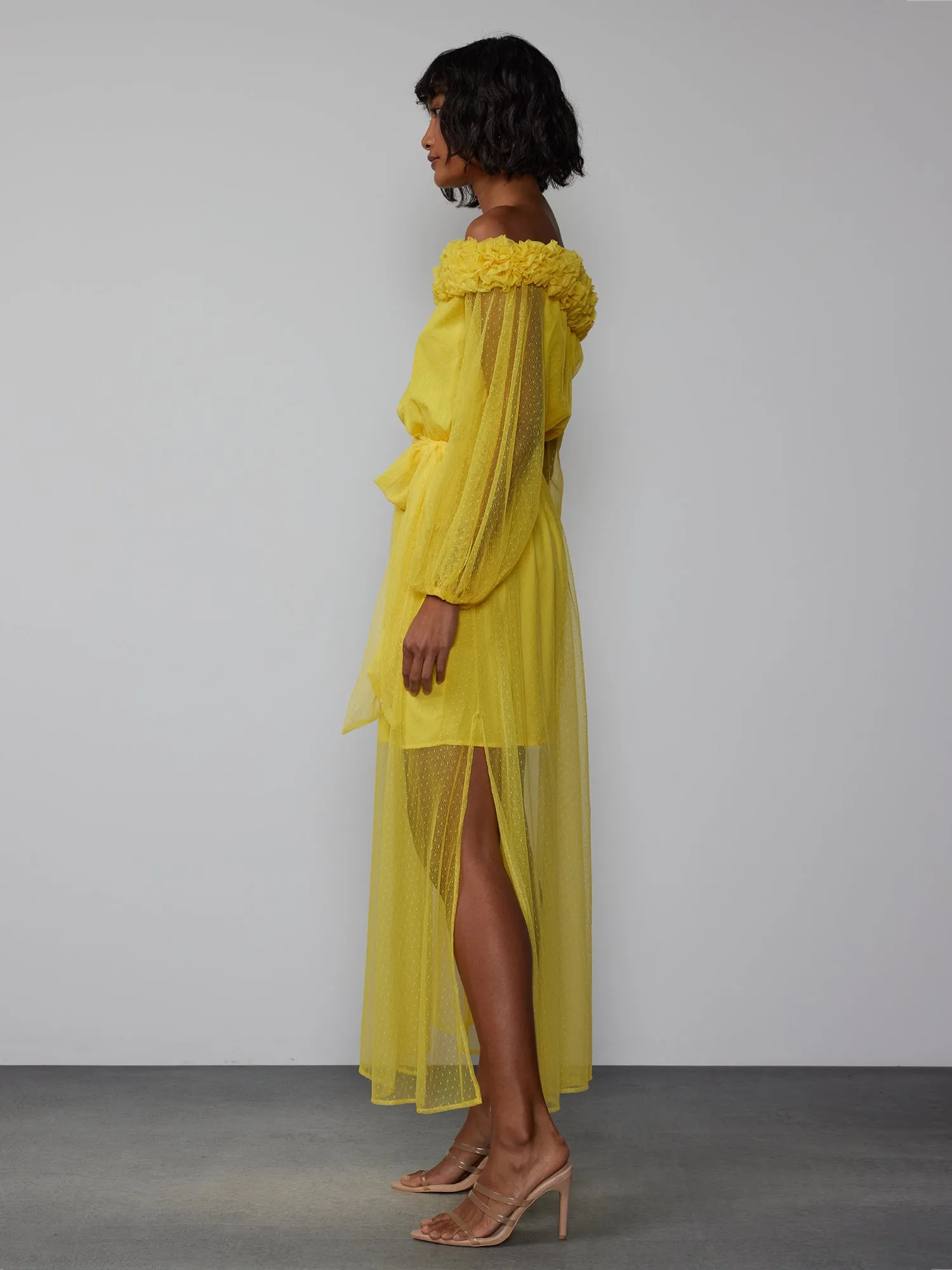 Off Shoulder Mesh Rosette Maxi Dress