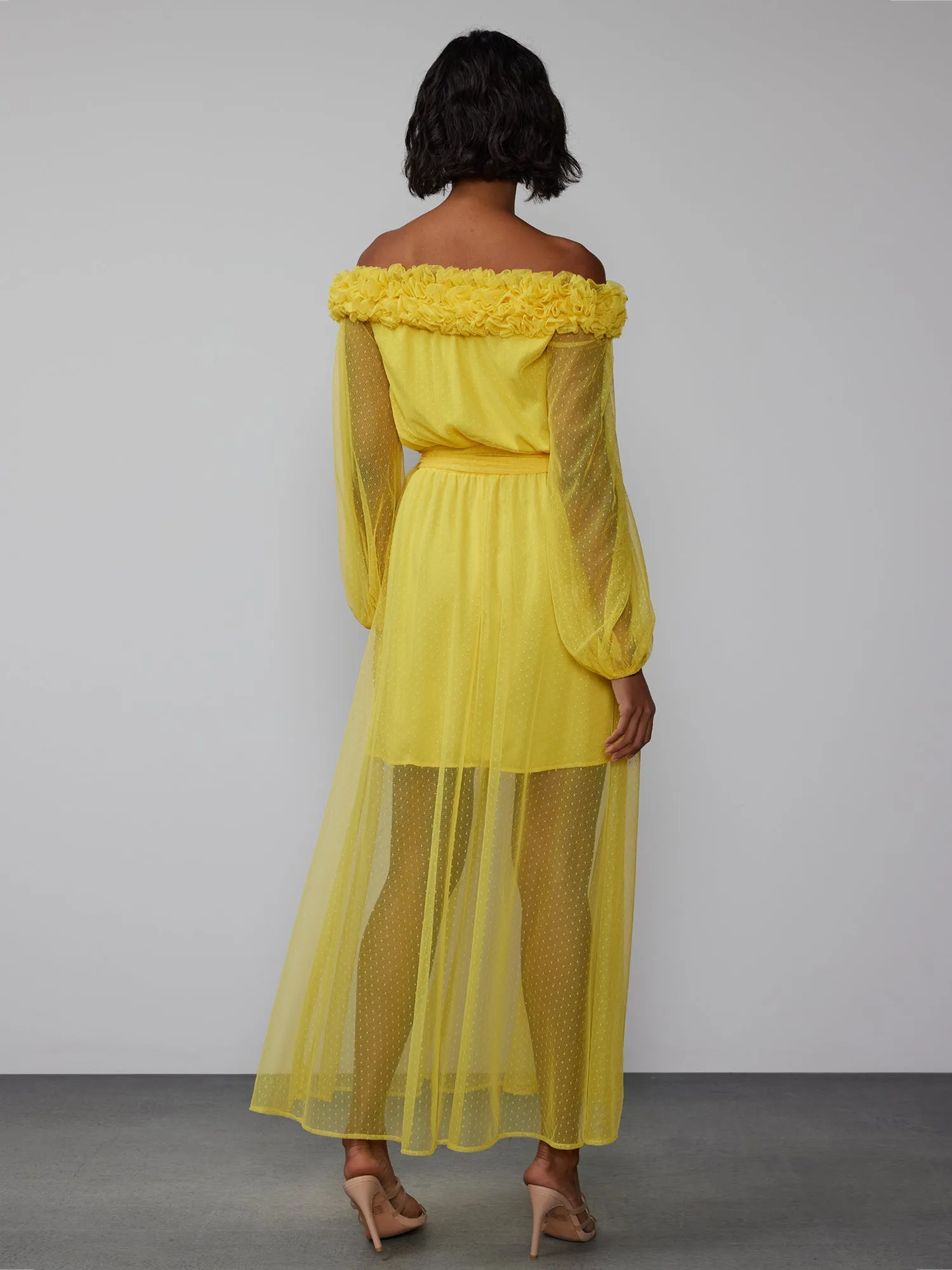 Off Shoulder Mesh Rosette Maxi Dress